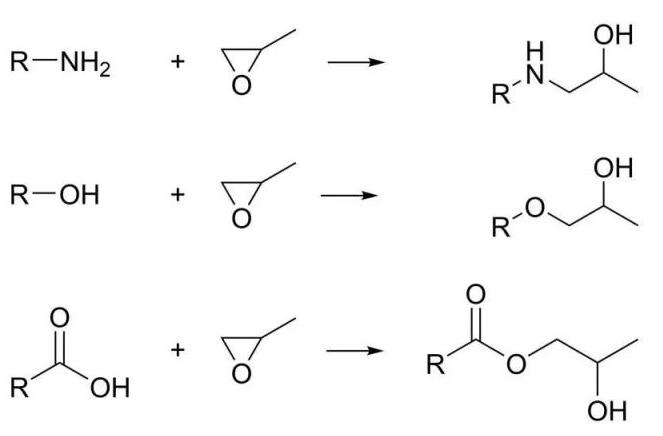 首先将甲基丙烯酸和环氧氯丙烷进行开环酯化反应,生成甲基丙烯酸-2